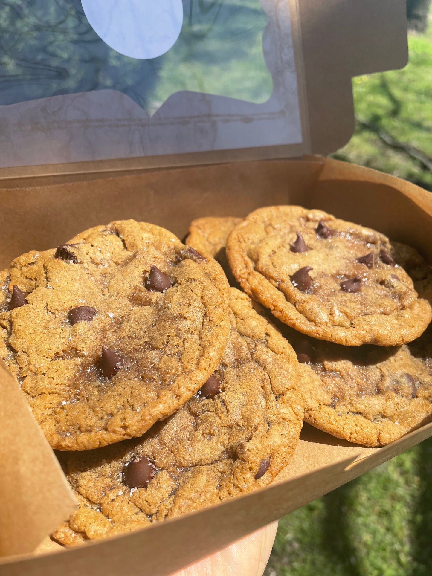 🍪Chocolate Chip Cookies🍪