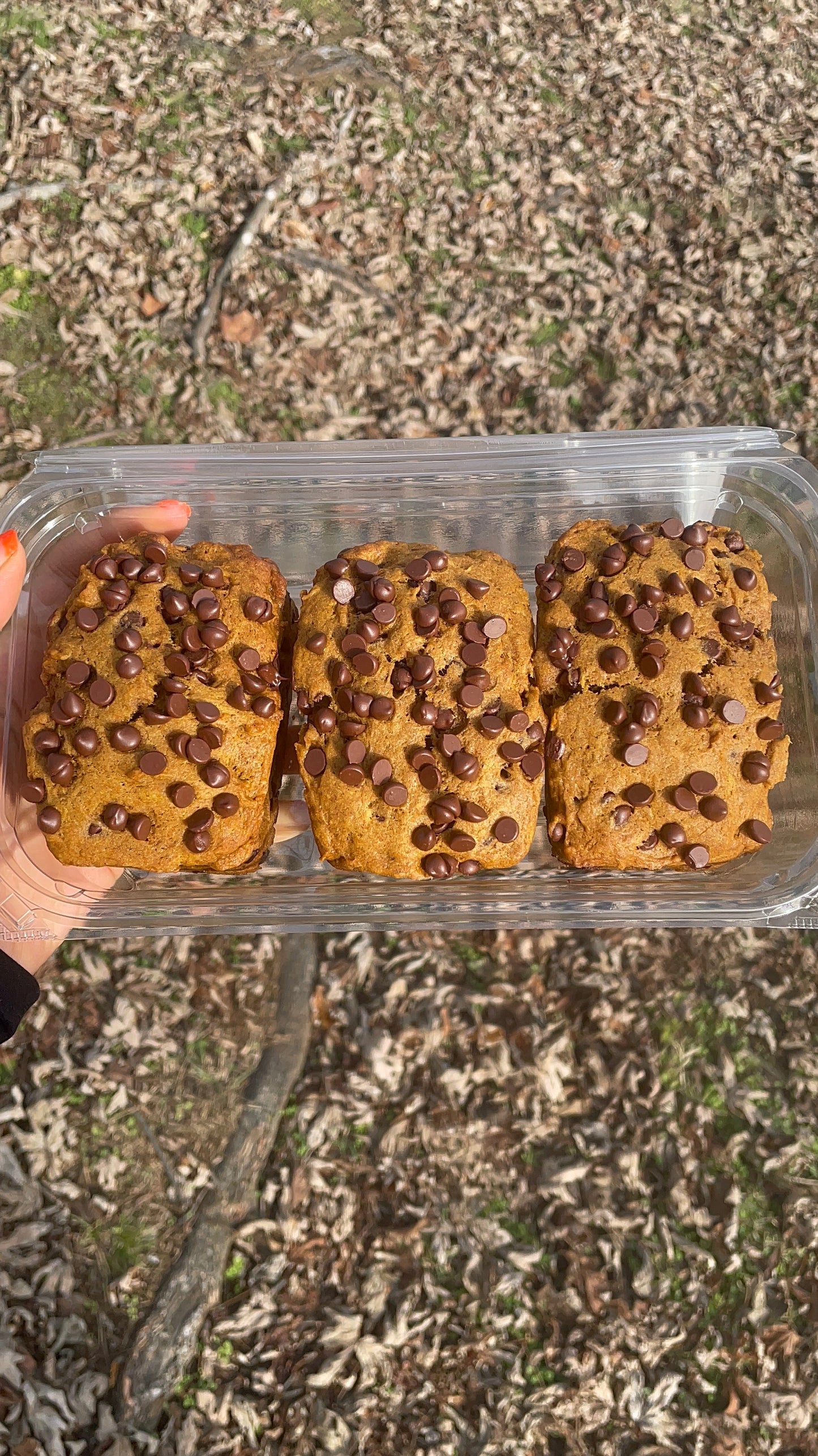🍫🎃Mini Pumpkin Bread🎃🍫