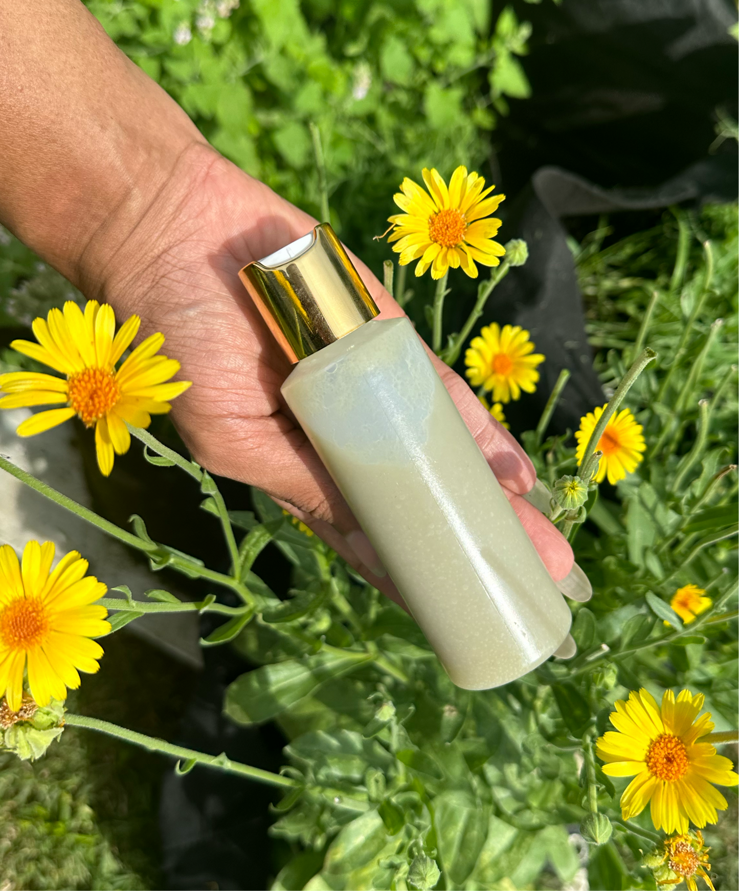 ALOE WHEATGRASS BODY WASH