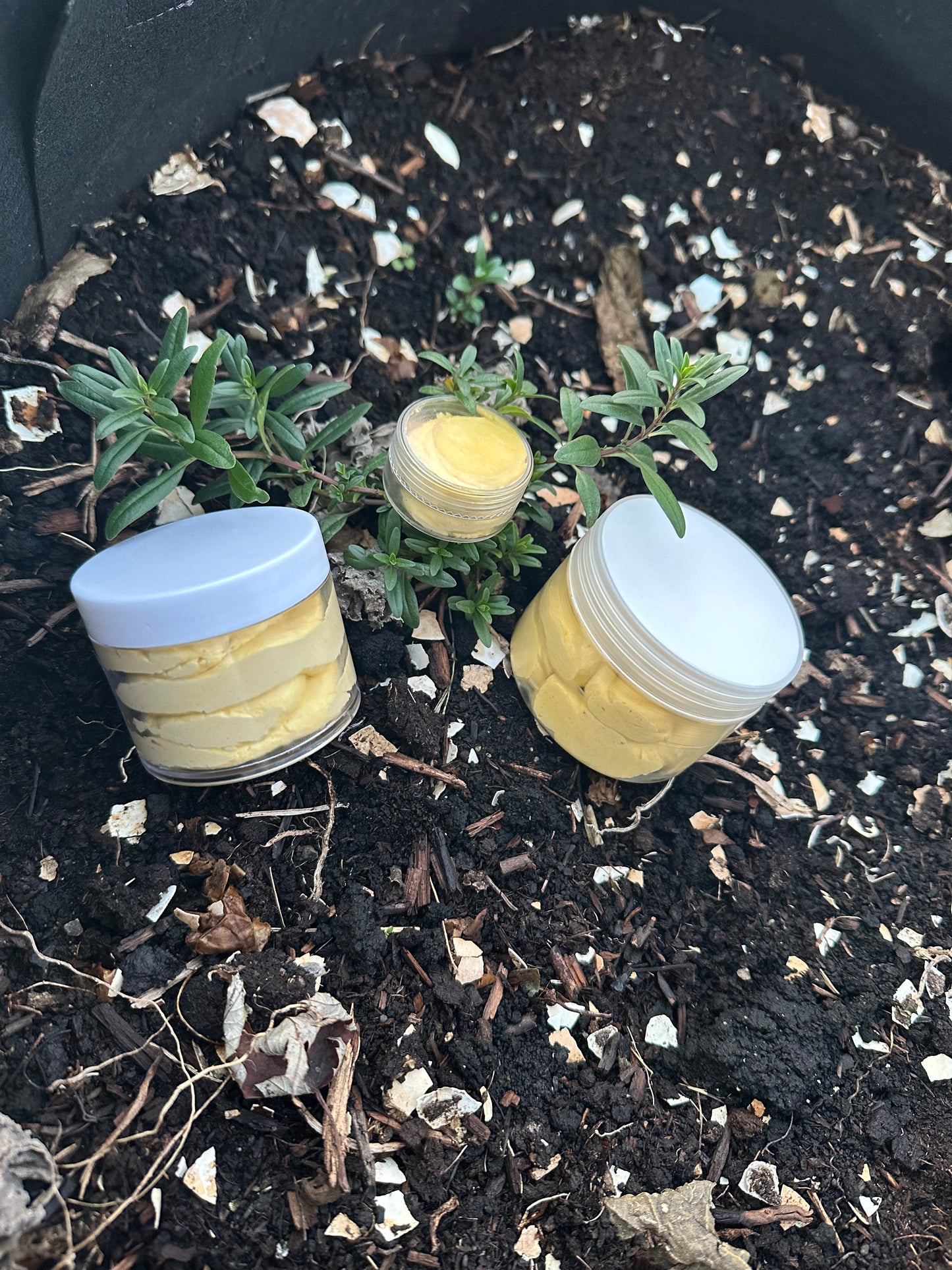 WHIPPED SHEA BUTTER