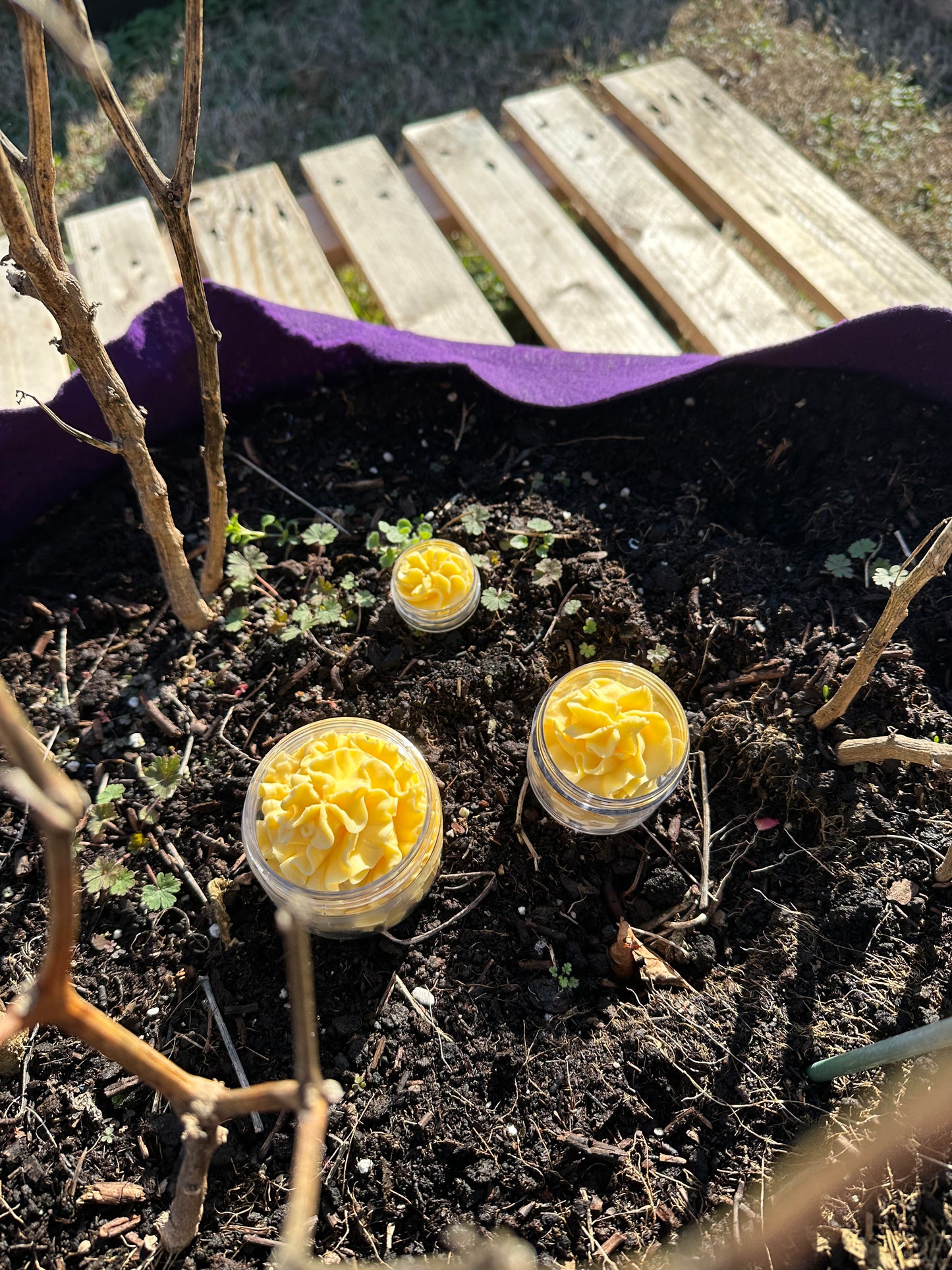 WHIPPED MANGO BODY BUTTER