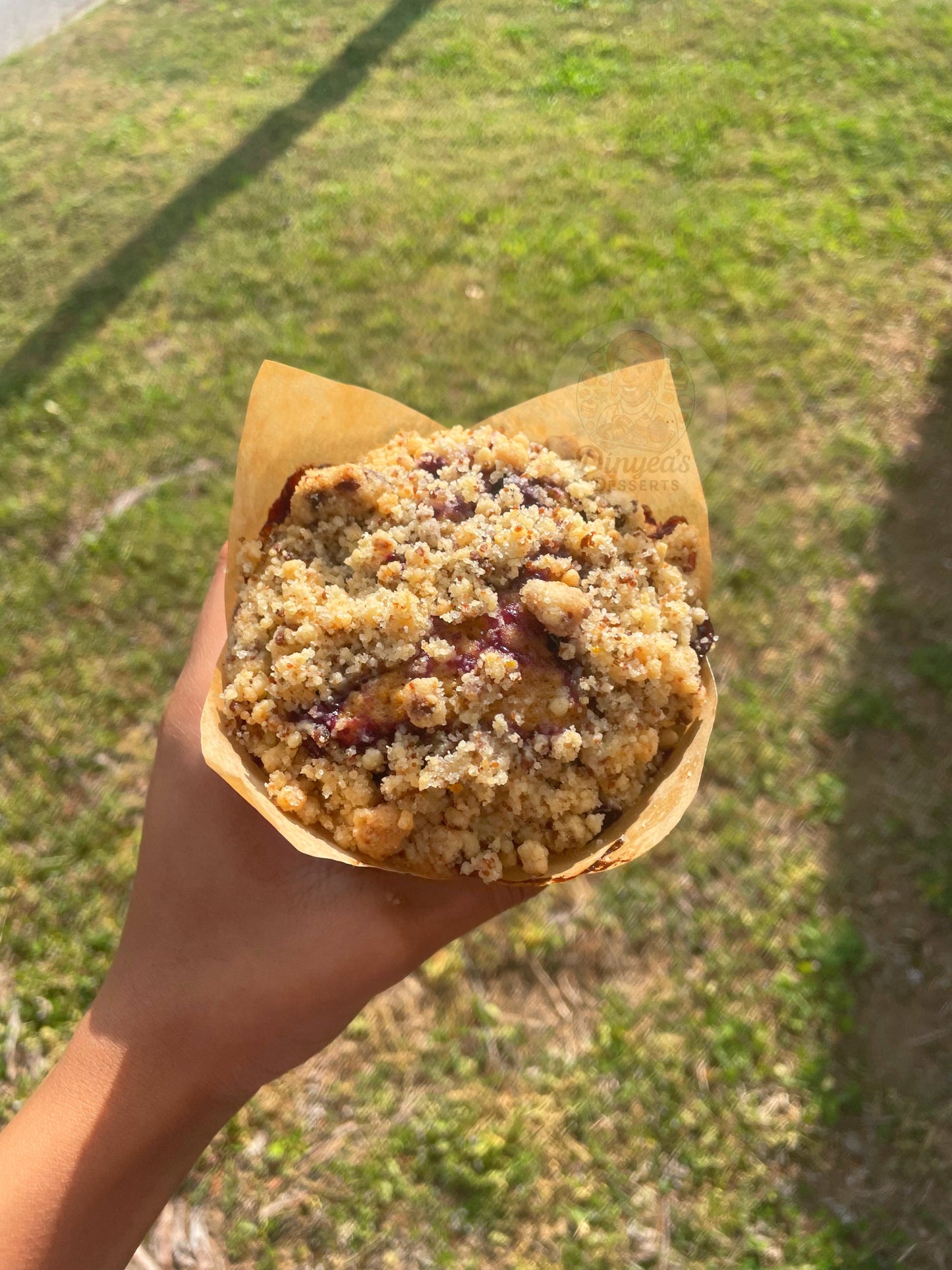 🫐 Blueberry Lemon Muffin 🍋