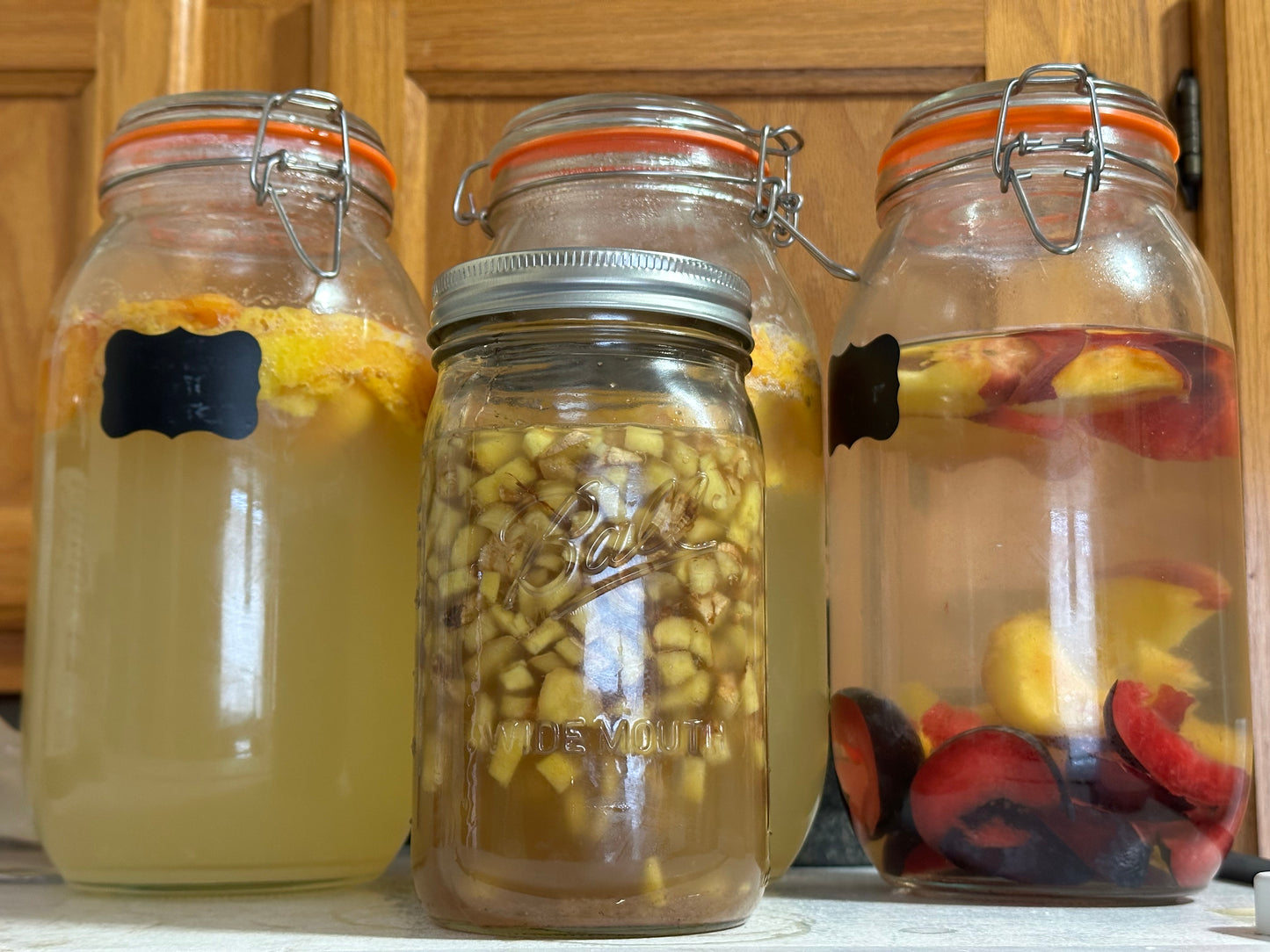 FERMENTED GINGER SODAS