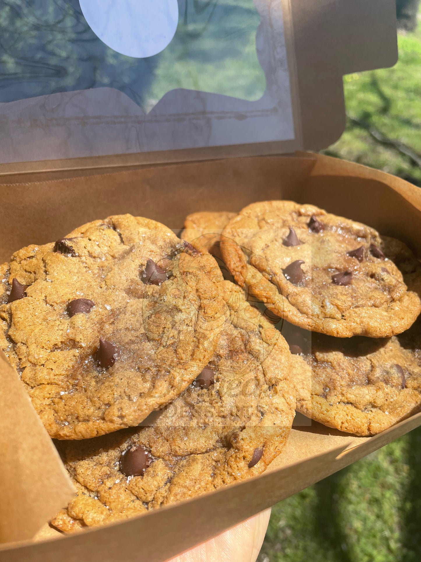 🍪Chocolate Chip Cookies🍪
