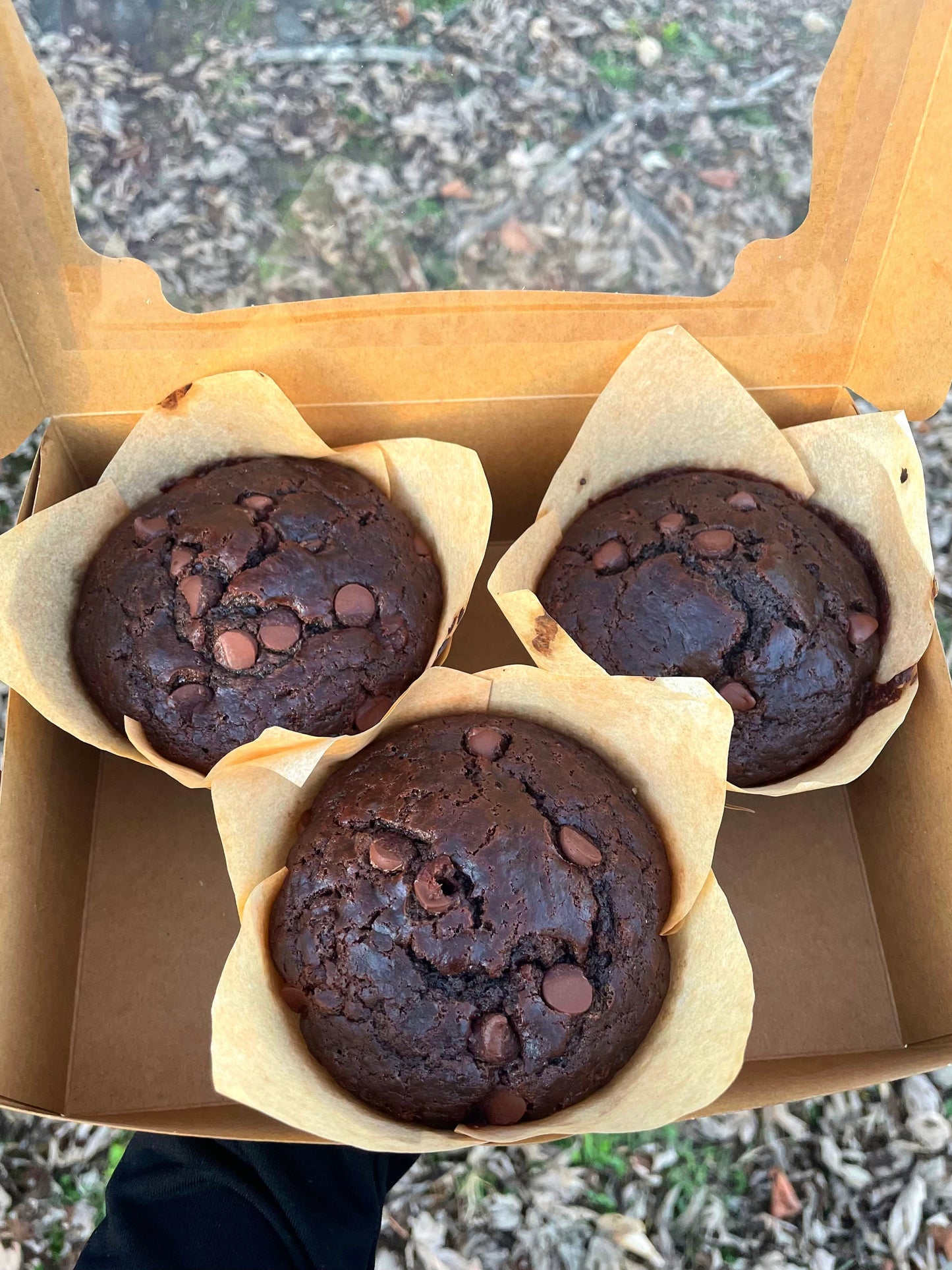 🍫Double Chocolate Muffins🍫