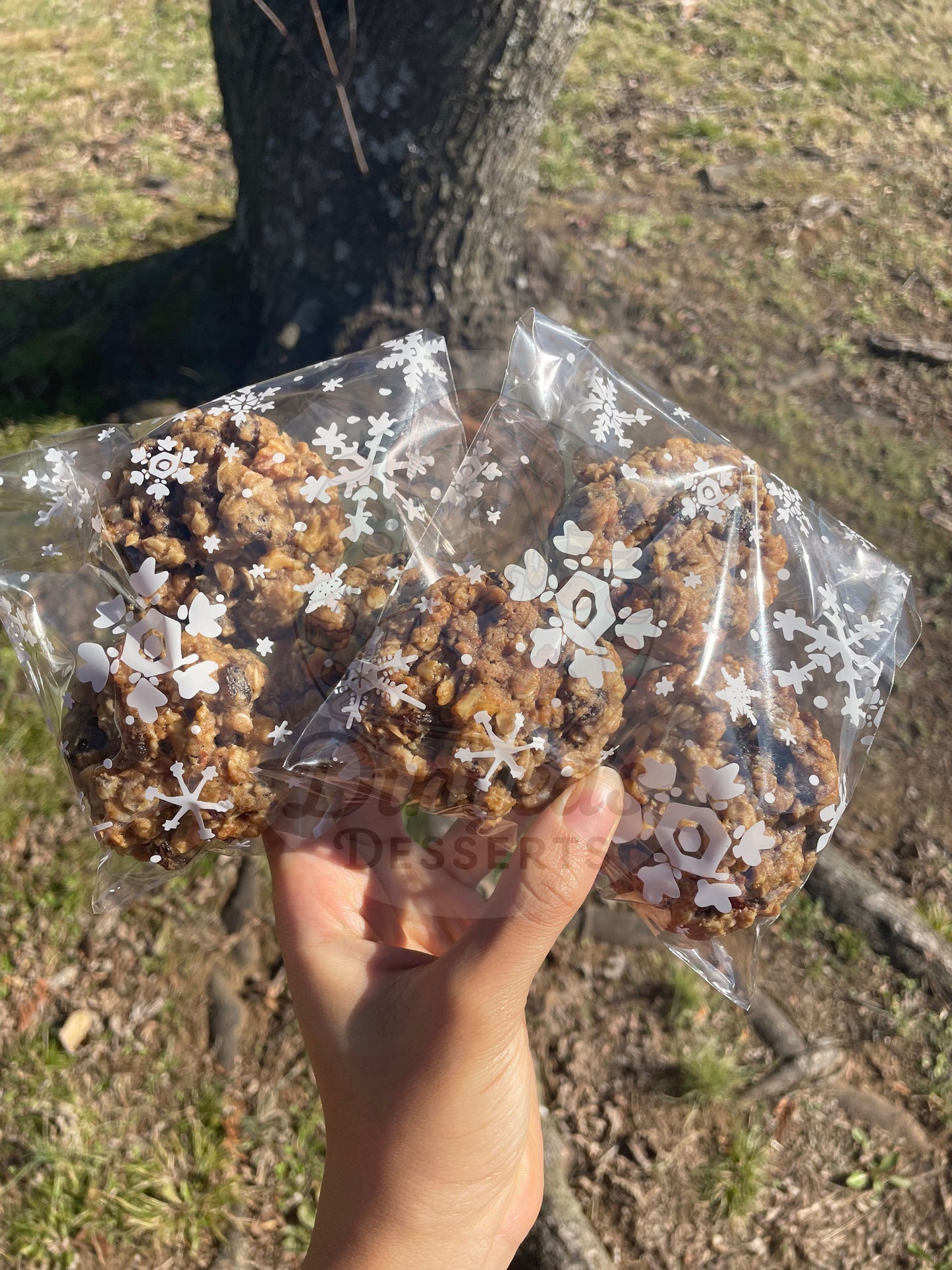 🌾Oatmeal Raisin Cookies🌾