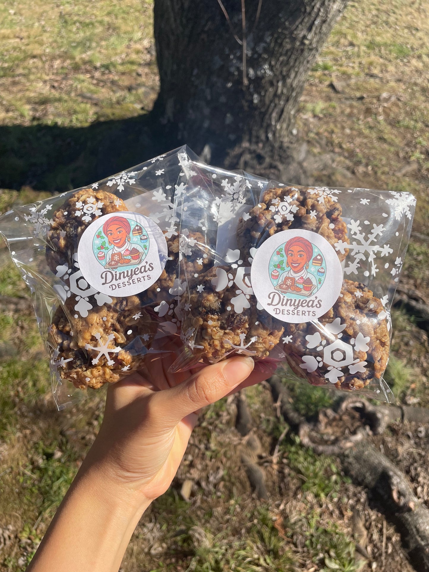 🌾Oatmeal Raisin Cookies🌾