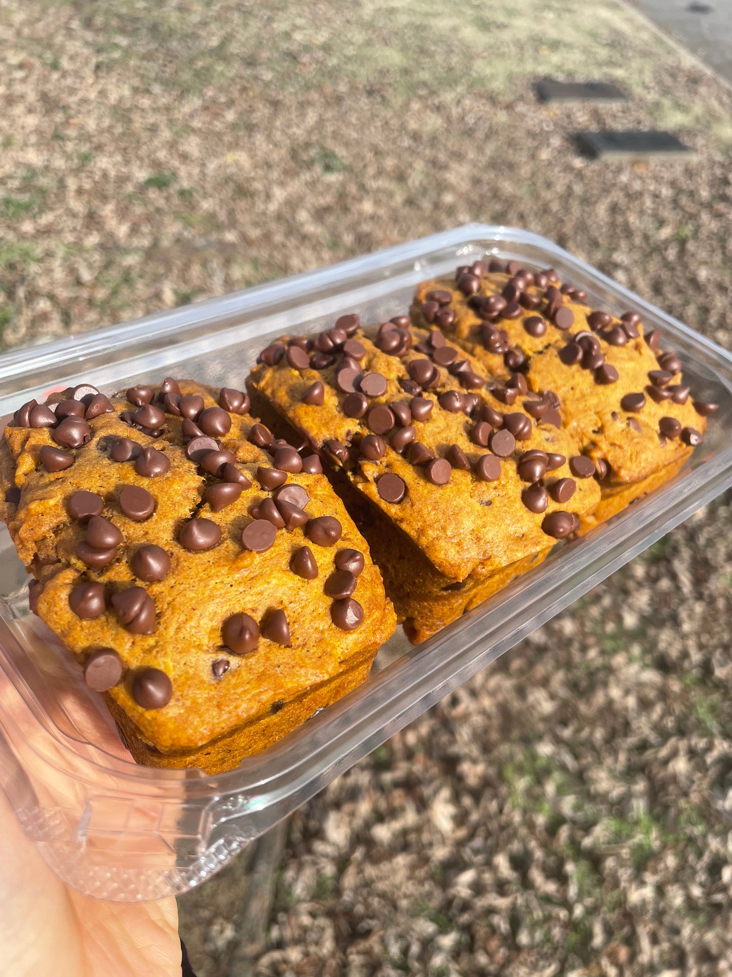 🍫🎃Mini Pumpkin Bread🎃🍫