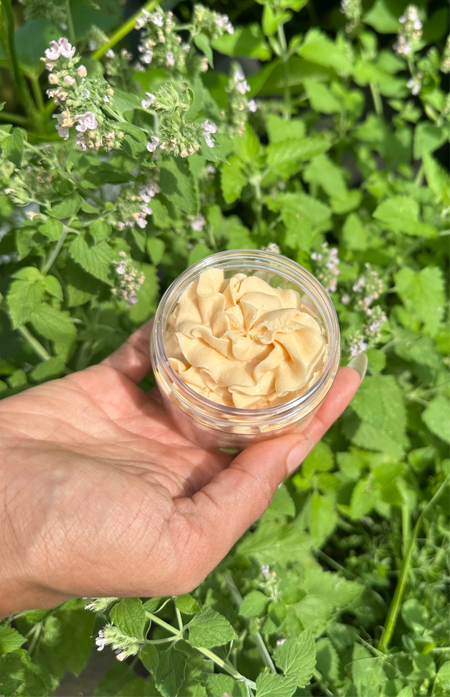 HIBISCUS CARROT FACE MOISTURIZER