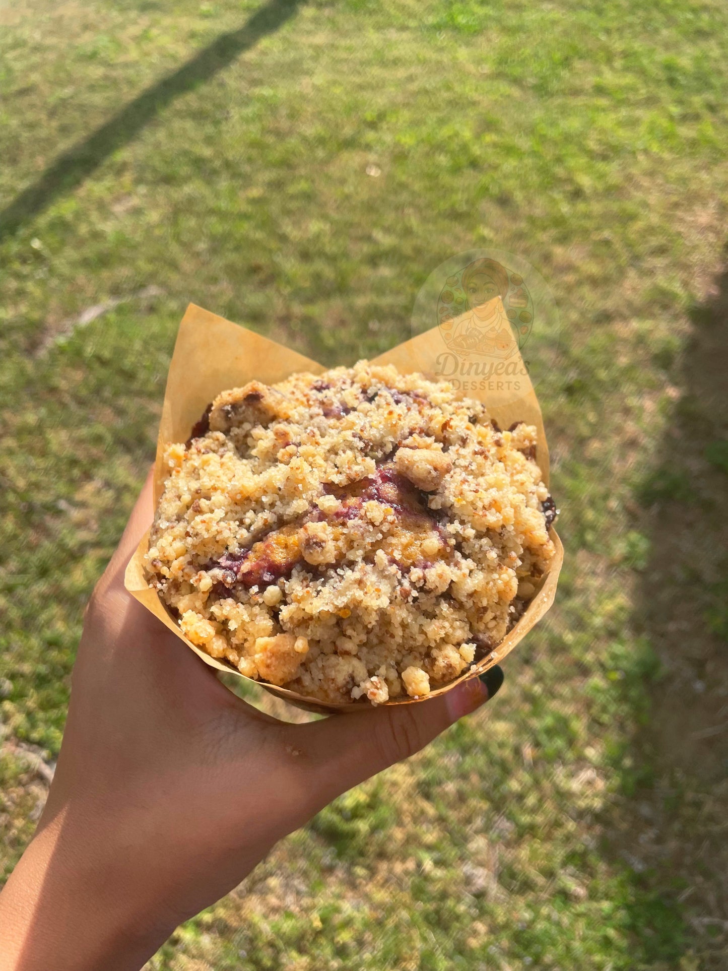 🫐 Blueberry Lemon Muffin 🍋