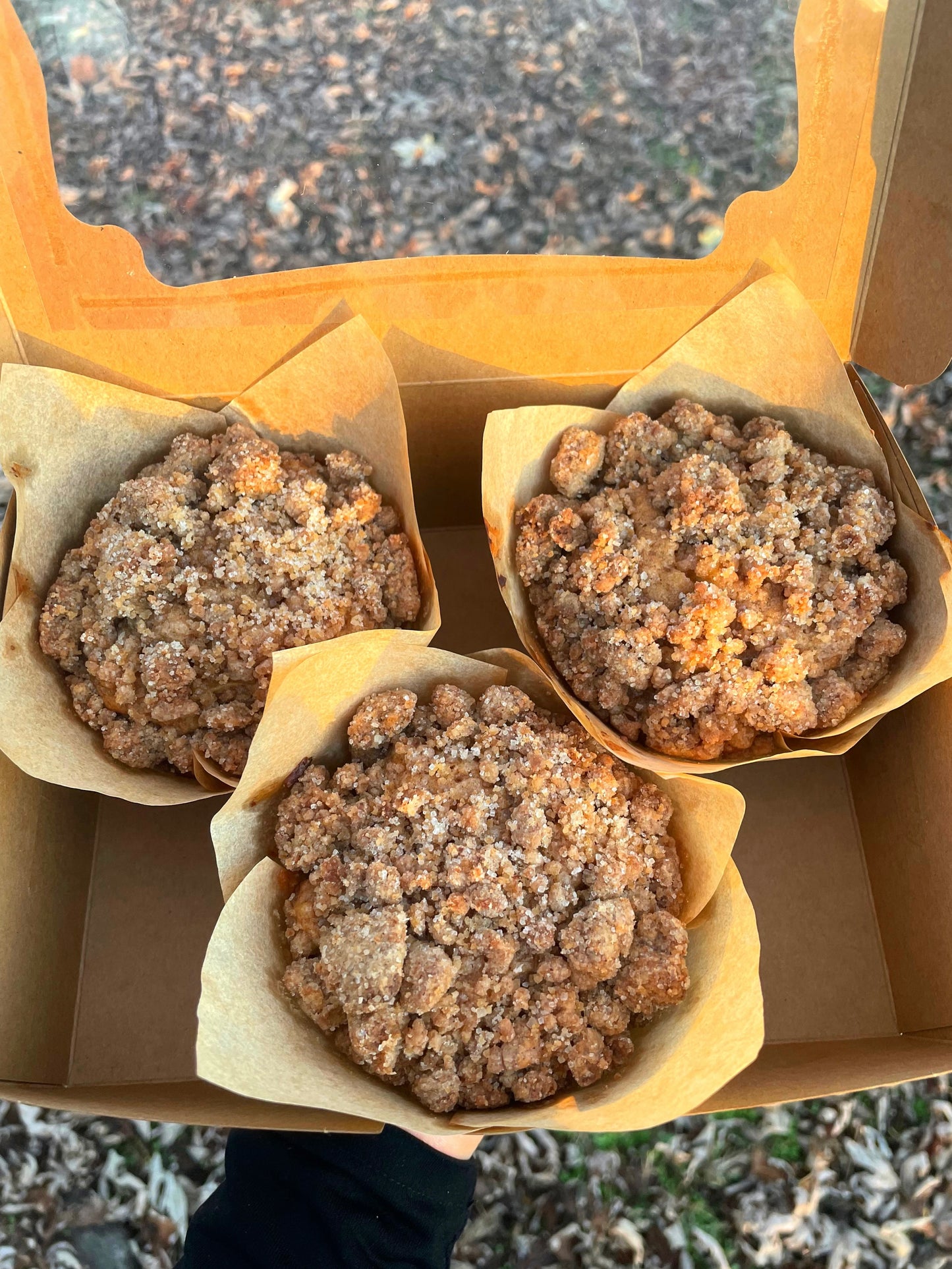 🍎Apple Streusel Muffins🍎