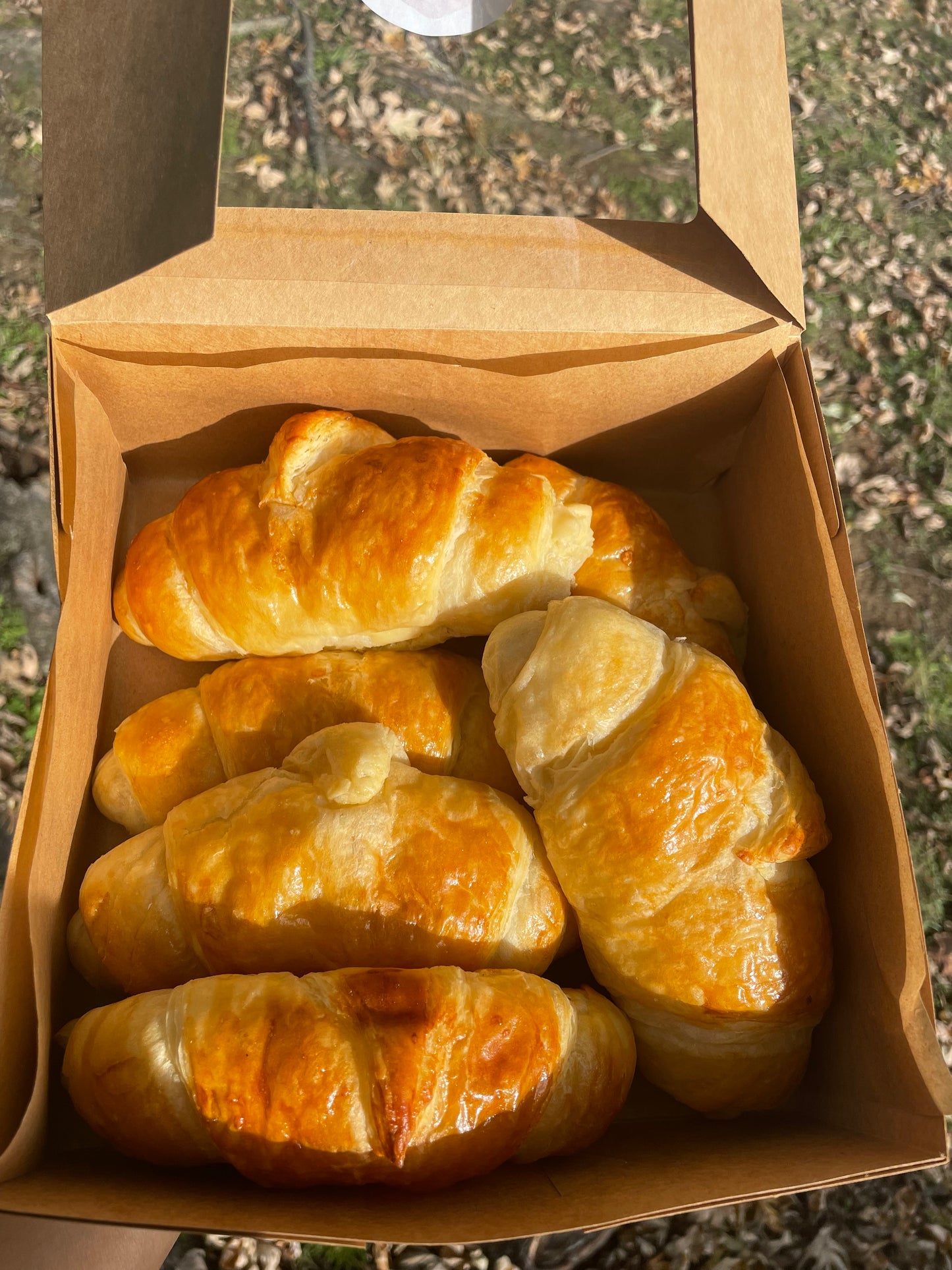 🥐Croissants 🥐