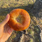 🐝🥯Honey Bagels🥯🐝