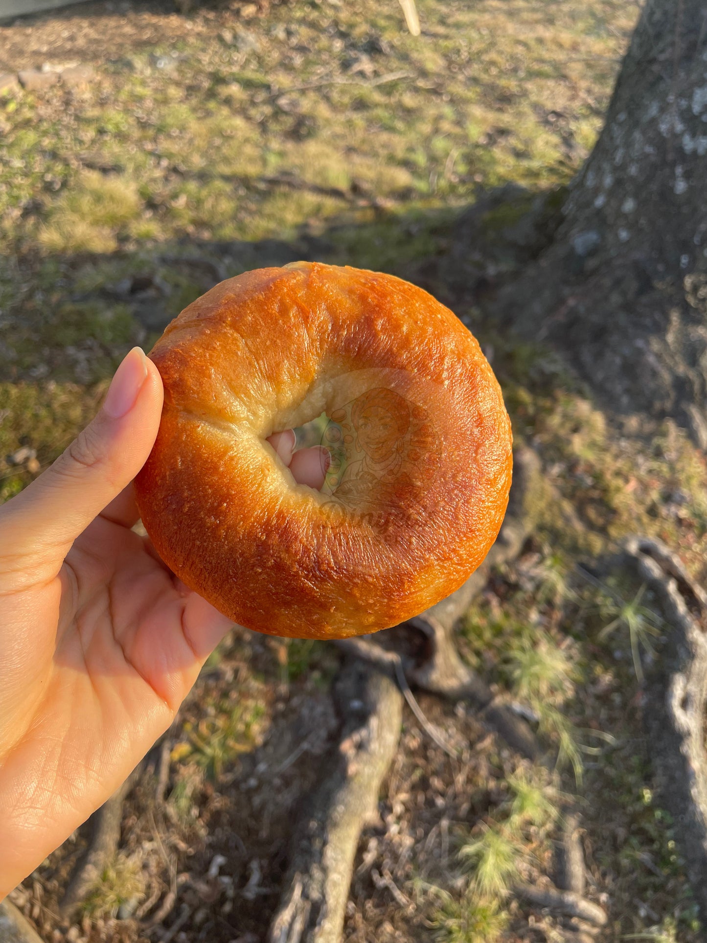 🐝🥯Honey Bagels🥯🐝