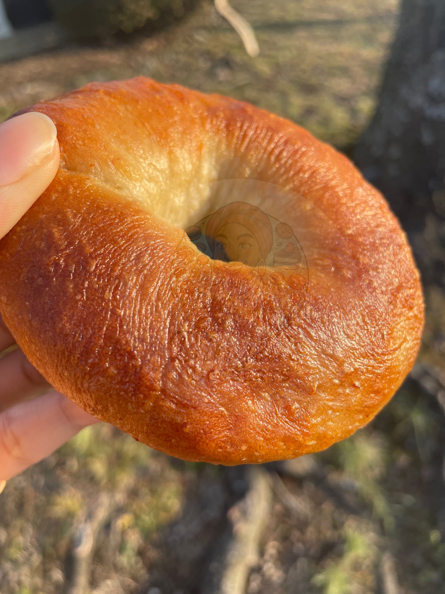 🐝🥯Honey Bagels🥯🐝