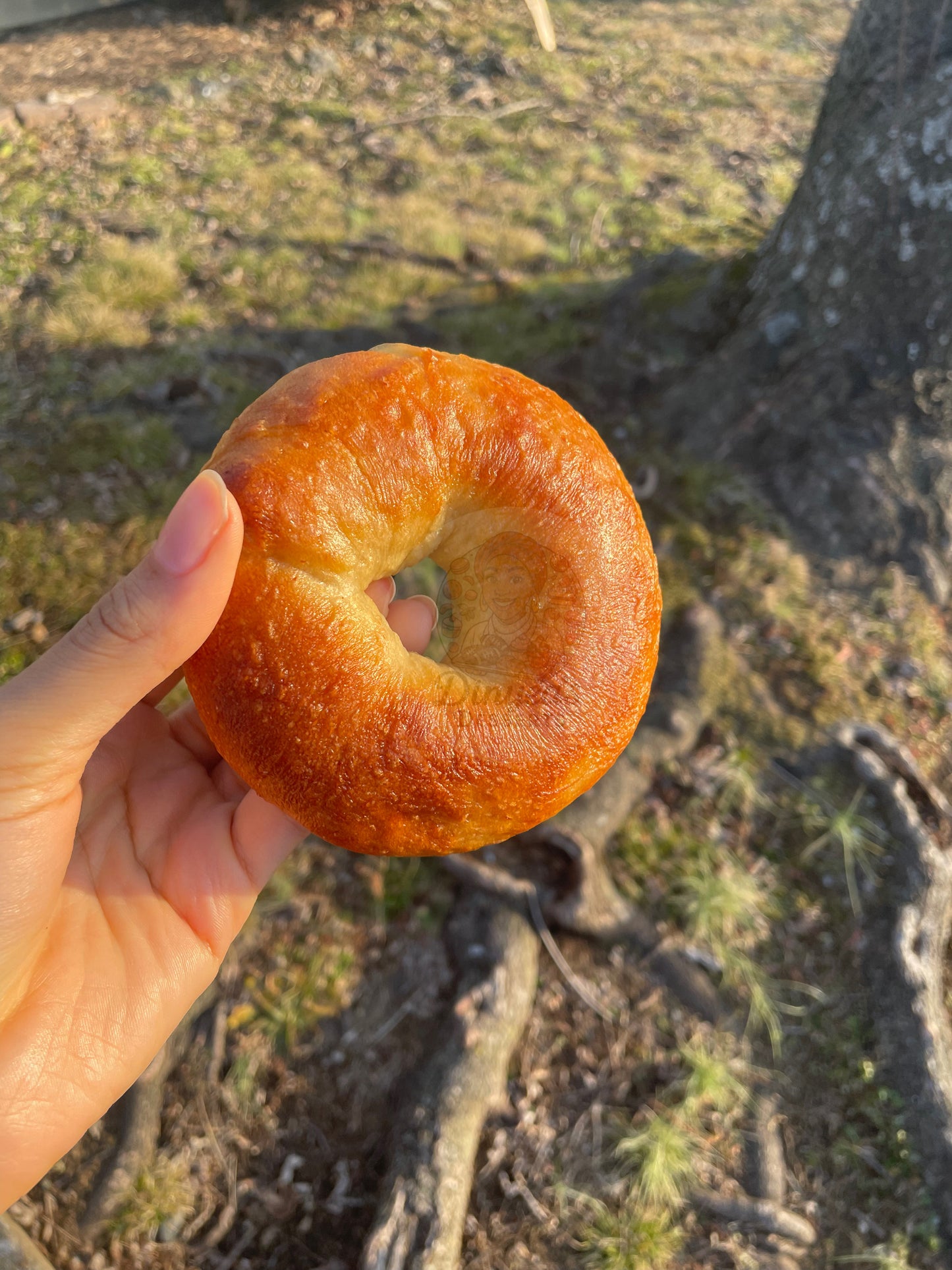 🐝🥯Honey Bagels🥯🐝